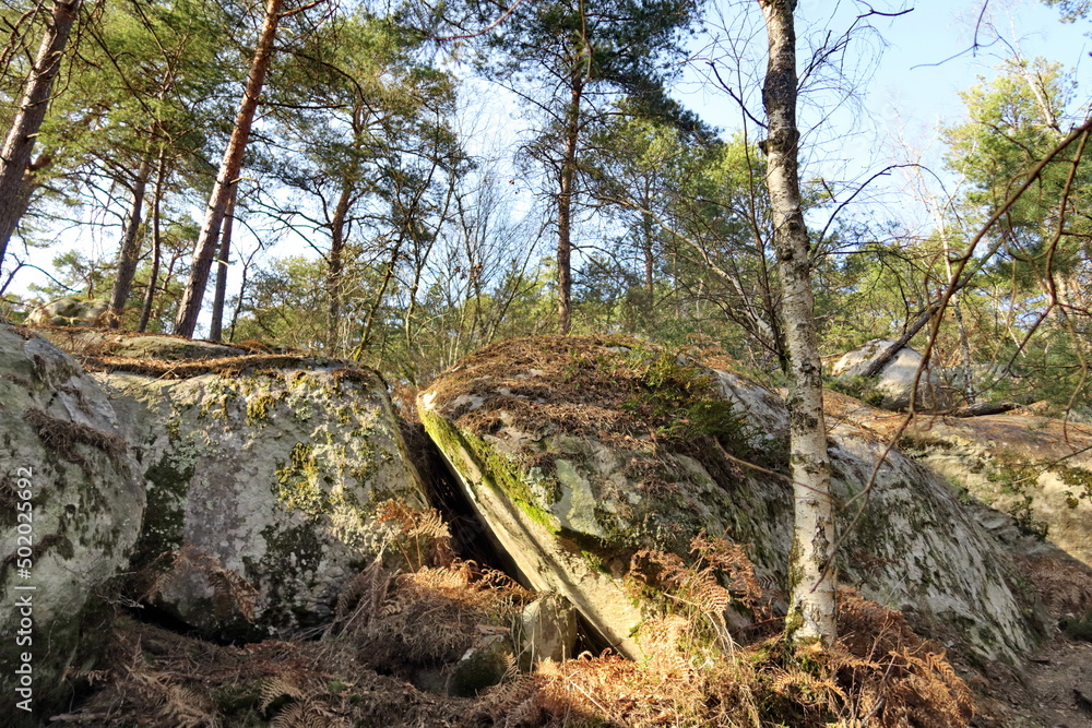 Rochers dans la forêt.