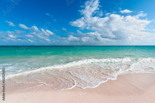 Beautiful beach and waves of Caribbean Sea © Dmitry Rukhlenko
