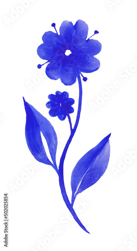 Fototapeta Naklejka Na Ścianę i Meble -  Watercolor Blue-white flower tulip on a white isolated background with clipping path. Close-up. no shadows. Shot of White Colored. Nature.