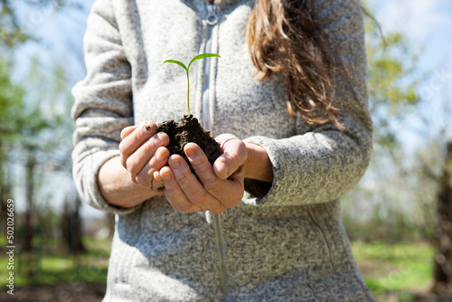 Eine Frau setzt im Frühling Zwiebeln ein