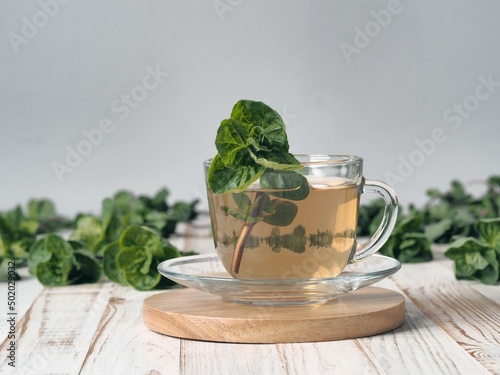 Cups with medicinal mint tea with a bunch of fresh mint and a teapot on a gray background. Herbal tea.