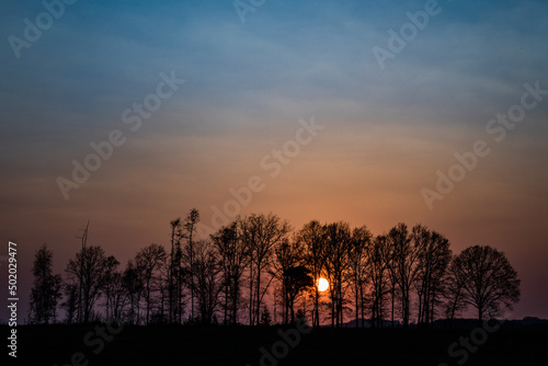 Baumgruppe im Sonnenuntergang