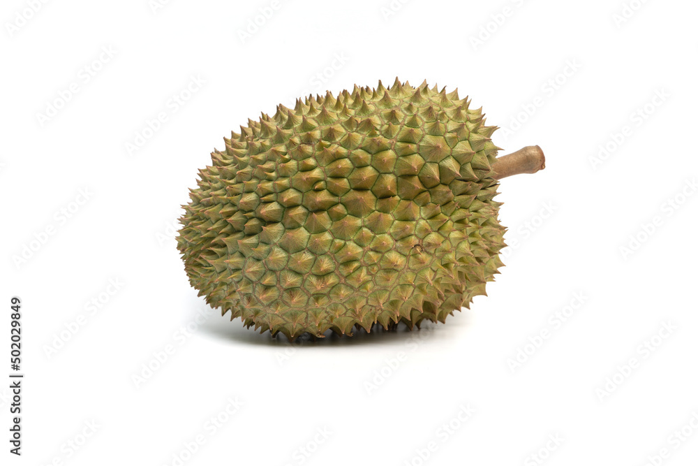 Durian Monthong thai tropical sweet fruit on white Durian Monthong thai tropical sweet fruit on white