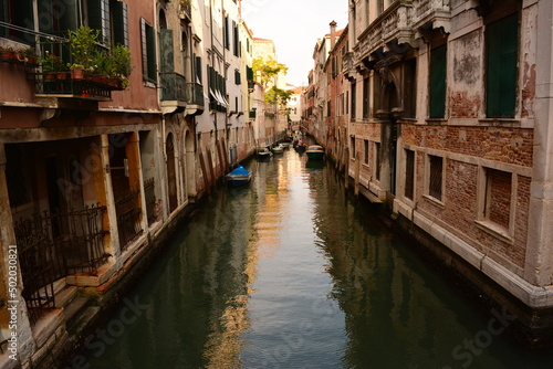 canal in venice with tree on rooftop