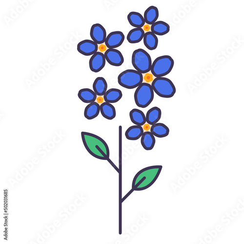 Forget me not flower