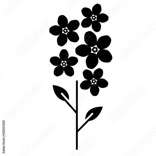 Forget me not flower