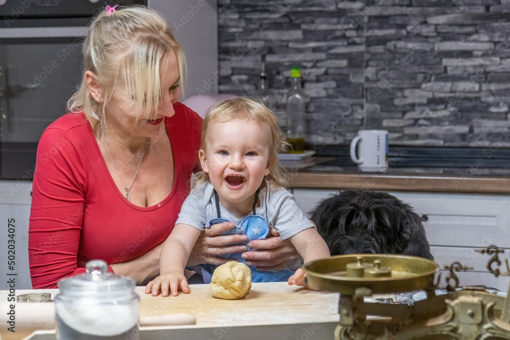 Obraz premium Laughing lttle helper child boy is posing with his grandmother and dog in domestic kitchen