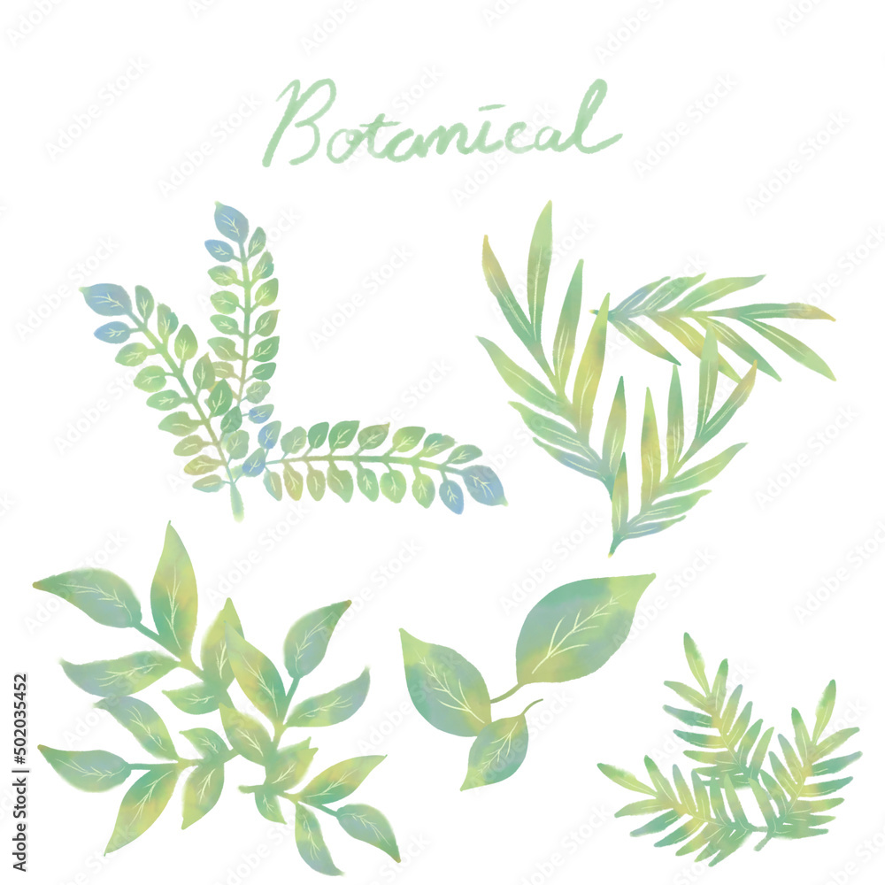 botanical 