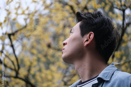 low angle view of handsome Asian young man look up at blur yellow plum blossom flower tree