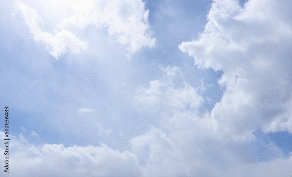 Fototapeta premium 美しい青空