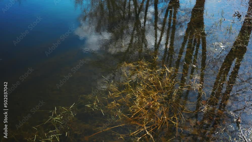Trees and an old yellow house are reflected in the pond. Ancient pond in the Gauja National Park in Sigulda. Warm day in early spring in Latvia Trees and an old yellow house are reflected in the pond. Ancient pond in the Gauja National Park in Sigulda. Warm day in early spring in Latvia