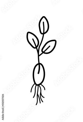A plant sprouted from a seed with a root system, vector illustration doodle style.