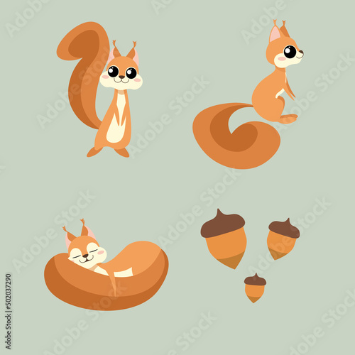 Set of beautiful character squirrels on green background. Vector illustration charming animals in different poses front and side view, sleeping and acorns near in cartoon style.