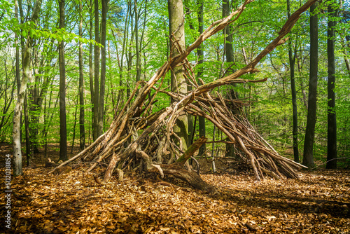 Childrens Play Hut of Twigs and Branches