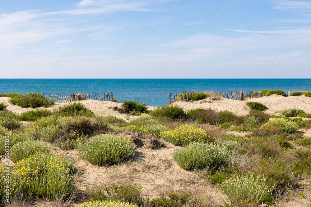 Dunes de la plage du Petit Travers de Carnon, près de Montpellier, au printemps (Occitanie, France) Dunes de la plage du Petit Travers de Carnon, près de Montpellier, au printemps (Occitanie, France)