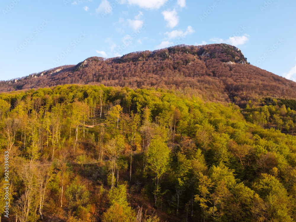 Aerial drone view of forest in mountain. Trees begin to flower and leaf in early spring.