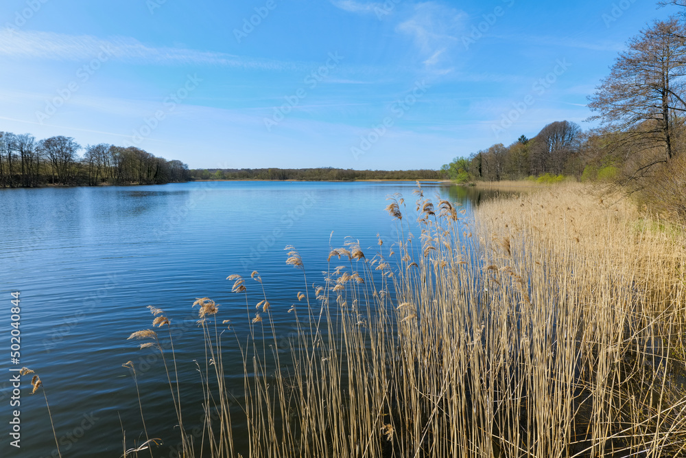 Schaalsee, Germany. The lake was declared a biosphere reserve in 2000. Schaalsee, Germany. The lake was declared a biosphere reserve in 2000.