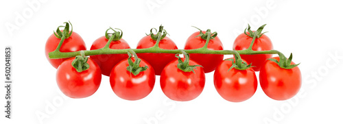 Cherry tomatoes on branch, isolated on white background with clipping path, element of packaging design. Full depth of field. photo