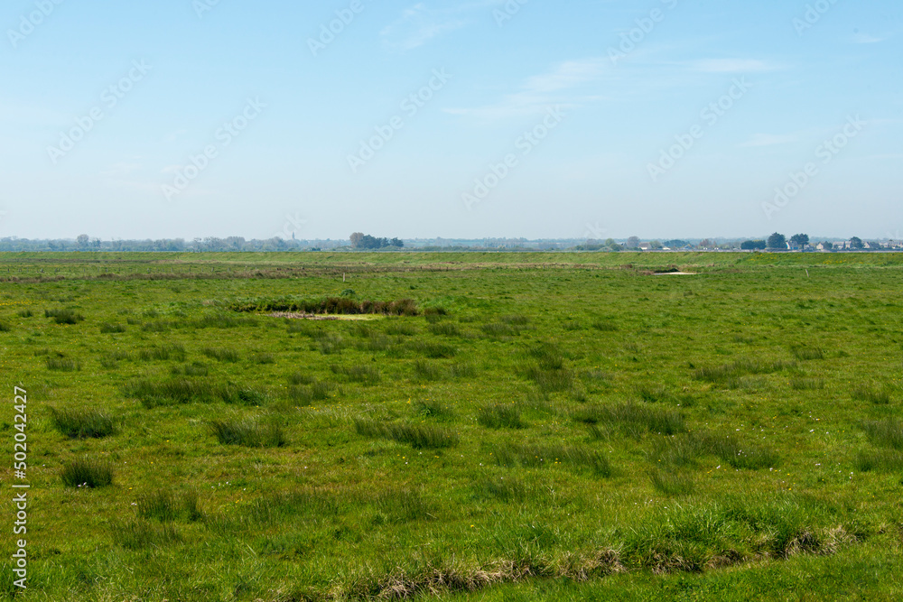 Baie des Veys, Pointe de Brévands, Parc Naturel Régional des Marais du Cotentin et du Bessin, Manche, 50