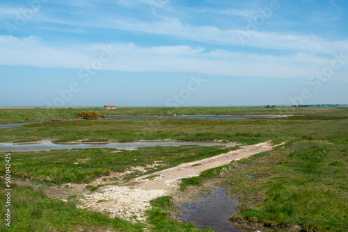 Baie des Veys, Pointe de Brévands, Parc Naturel Régional des Marais du Cotentin et du Bessin, Manche, 50