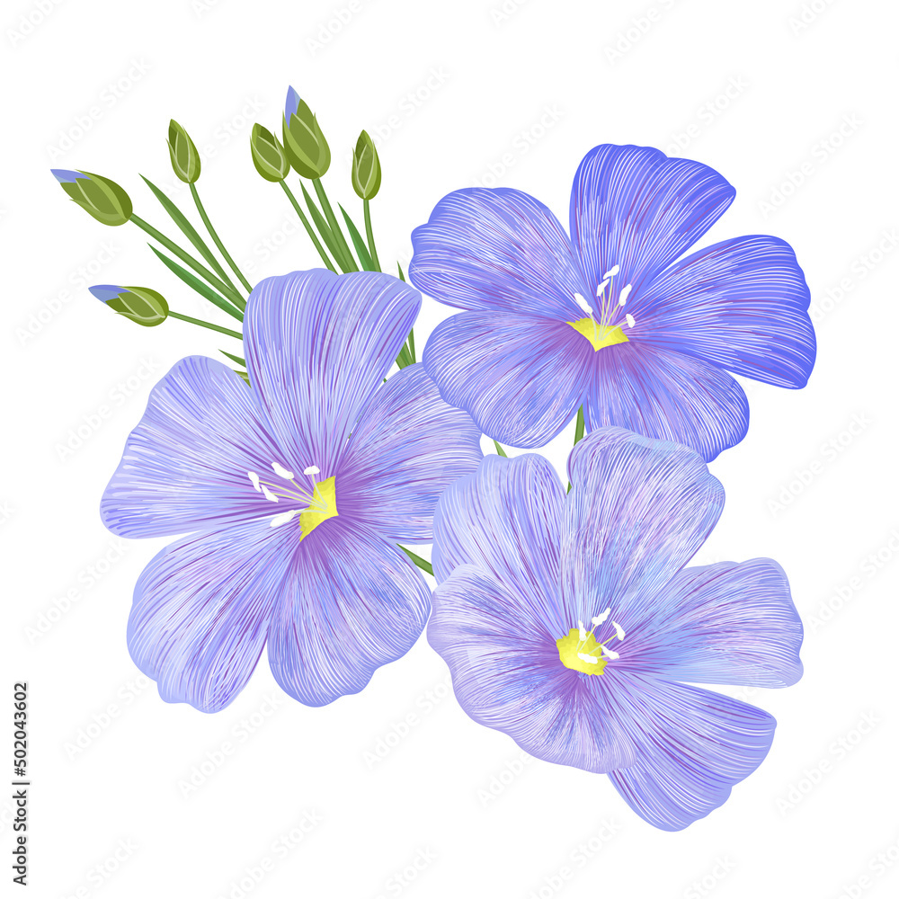 Flax (linseed), hand drawn vector illustration. Flax (linseed), hand drawn vector illustration.