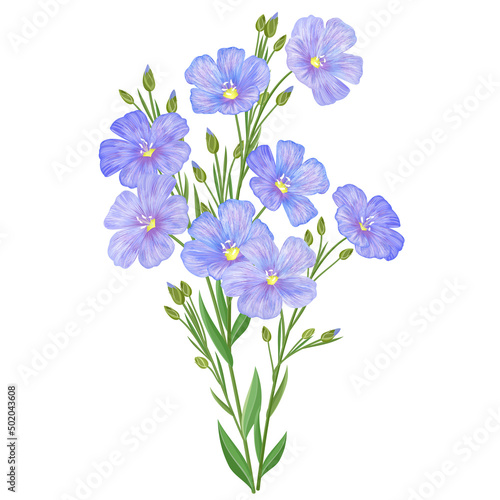 Flax branch with blue flowers, vector illustration.