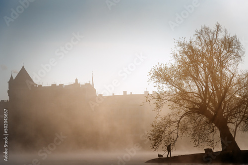 Morning walk with a dog in the fog in Prague (
