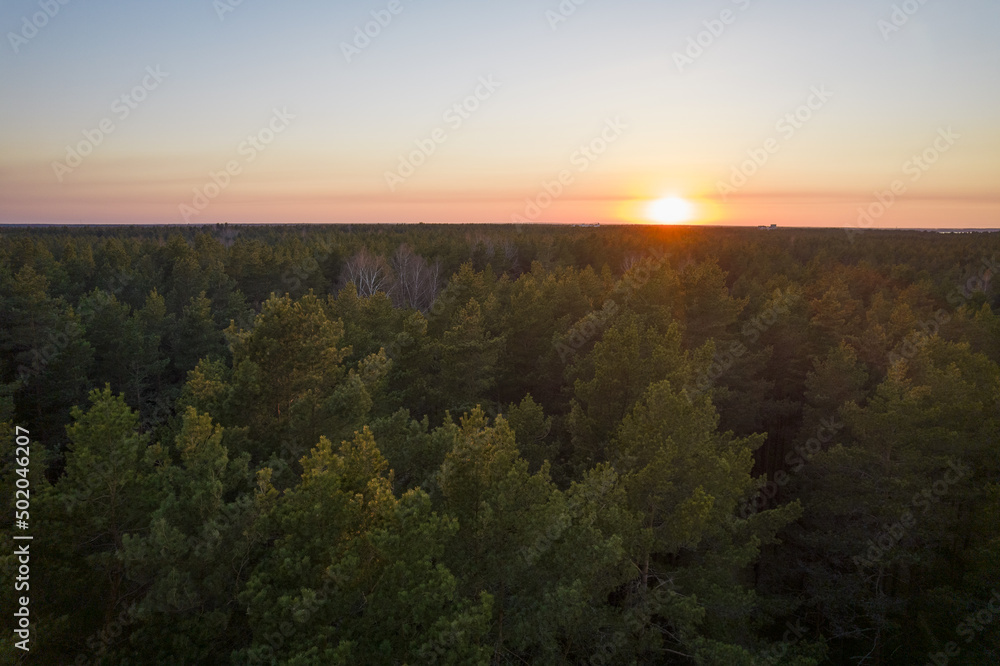 Drone photo of forests and groves in golden time