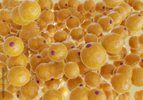 Foto A cluster of Fat cells. 3D Rendering.