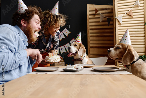 Canvas Print Multiethnic happy couple sitting at table with their dogs and celebrating birthd