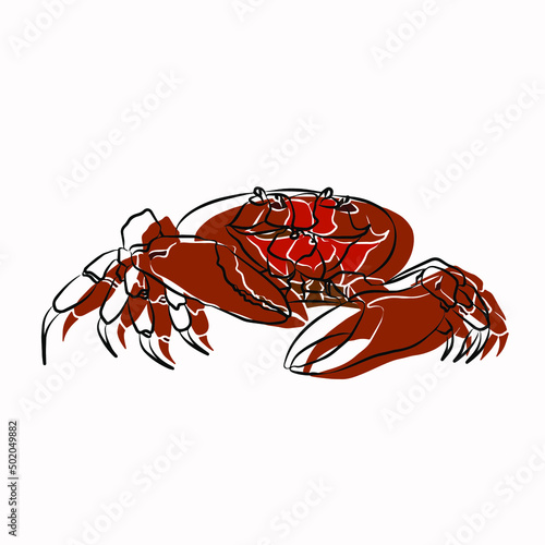 Illustration : Beautiful crab painting