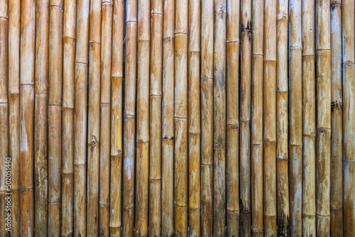 Old bamboo fence background