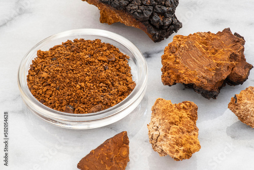 Close-up of chaga mushroom pieces, powder and infusion in a cup