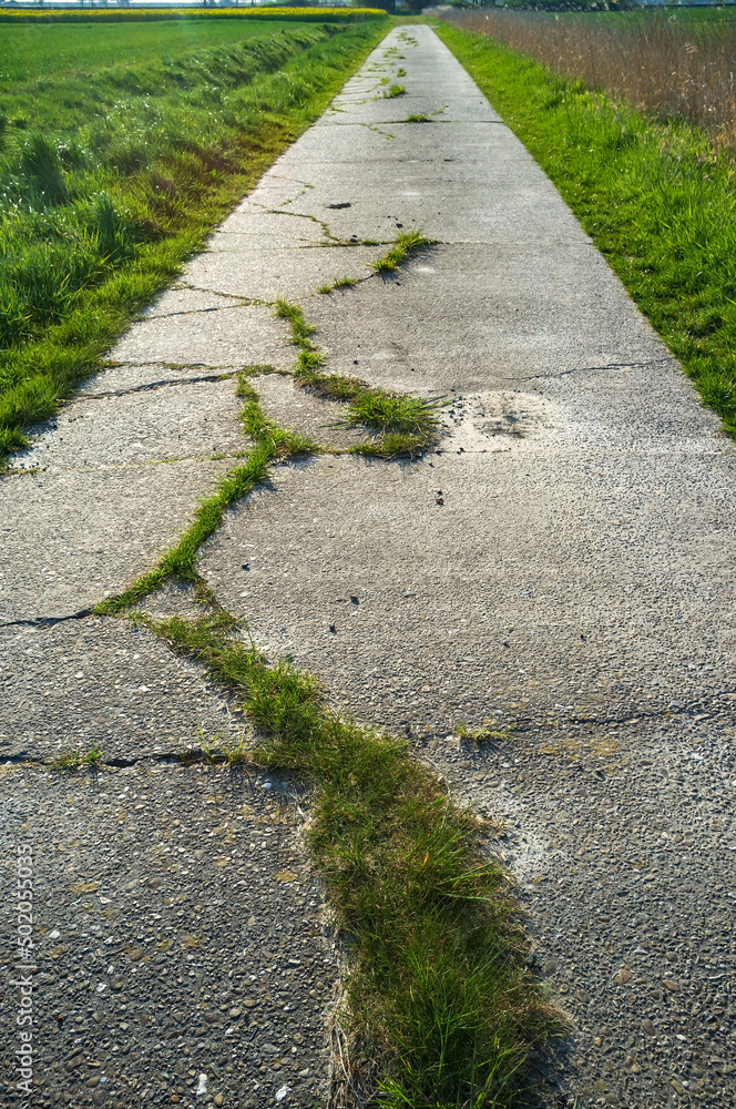 Old concrete path with cracks and overgrown with grass going through the fields, used for cycling or walking. Active lifestyle concept.