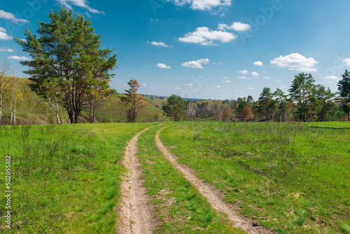 Beautiful countryside dirt road with fresh green grass.