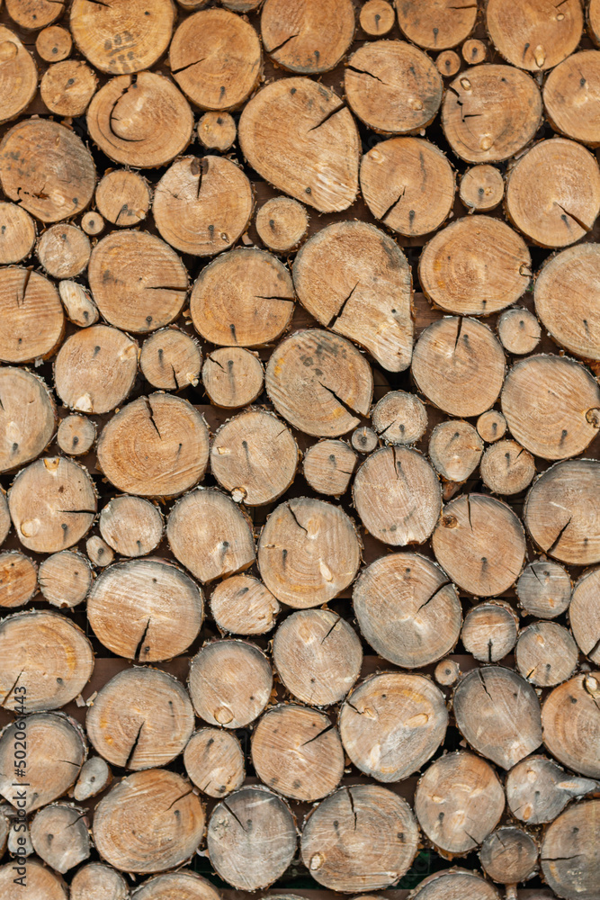 stacked loggs of fire wood texture background. stacked loggs of fire wood texture background.