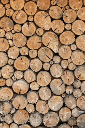 stacked loggs of fire wood texture background.