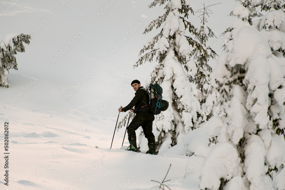 view of skier climbing the hill on splitboard. Ski touring in mountains.