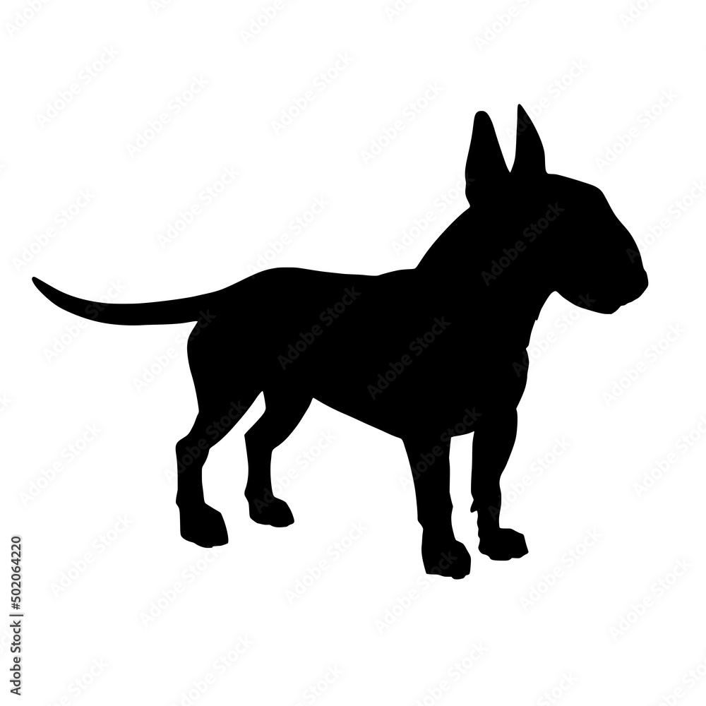 English bull terrier silhouette. Vector illustration isolated on white background.