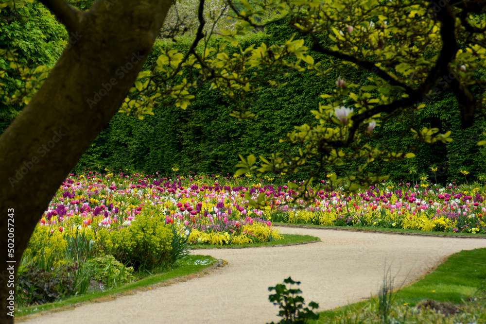 Botanischer Garten in Gütersloh in NRW, buntes Blumenbeet mit Flattergras, Kaiserkronen, Tulpen, Vergissmeinnicht, Gänseblümchen und Narzissen