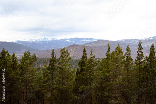 mountains in the morning