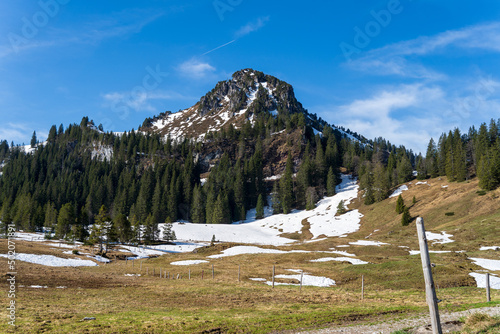 Schweiz bei Oberiberg in der Nähe von Roggenstock bei Schwyz photo