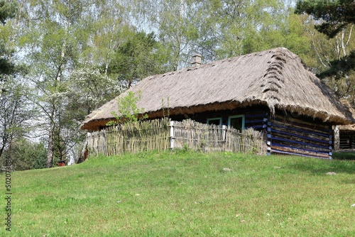 Stary tradycyjny drewniany wiejski dom kryty strzechą, wśród zieleni