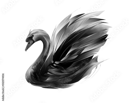 Fototapeta Naklejka Na Ścianę i Meble -  painted bird black swan on a white background