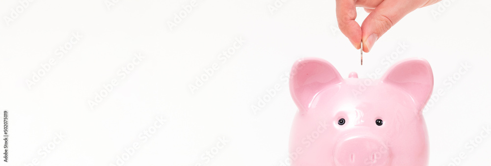 Piggy bank on white background Piggy bank on white background