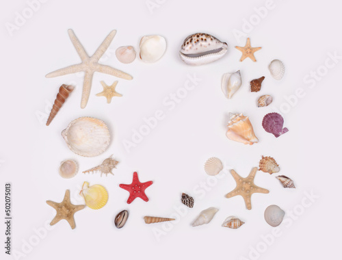 Shell starfish on neutral gray copy space background. Flat lay, top view.