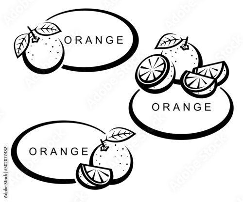 Oranges set. Collection icons orange. Vector