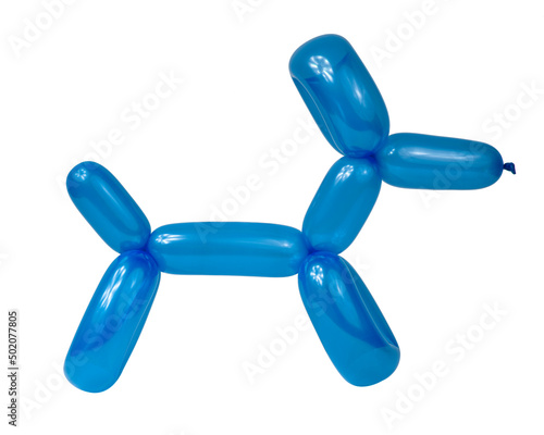 Blue balloon dog model party fun isolated on the white background