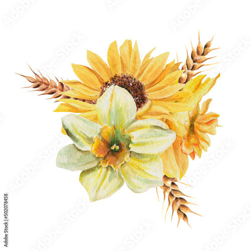 Watercolor bouquet of daffodils, sunflower, wheat. Vivid summer botanical arrangement. For wedding invites, posters,greeting cards, stationery, packaging, logo, postcards, festive decor, florist shop 