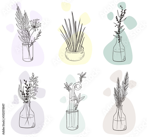 Set or plants in vase or plant compositions